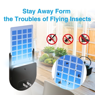 JZ Indoor Elektrische Fliegenfänger Klebefalle mit Nachtlicht UV Anziehen Mücken Klebrige Falle Stecker in Fliegende Insektenfalle fournisseur