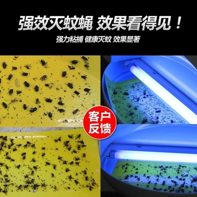 OEM/ODM kommerzielle elektronische UV-Lampe Licht Insekt Bug Fliegen Mück Sticky Killer Fallen Zapper ABS Rahmen fournisseur